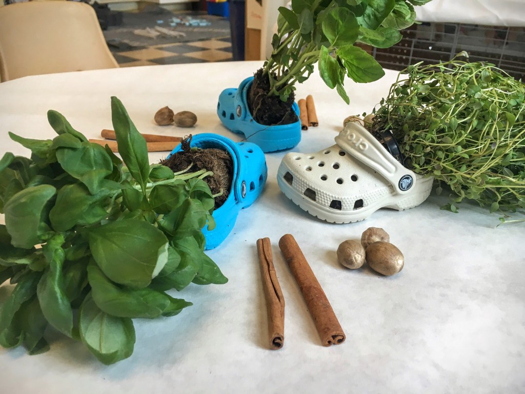 Integrating Different Academic Disciplines though&nbsp;Havdalah